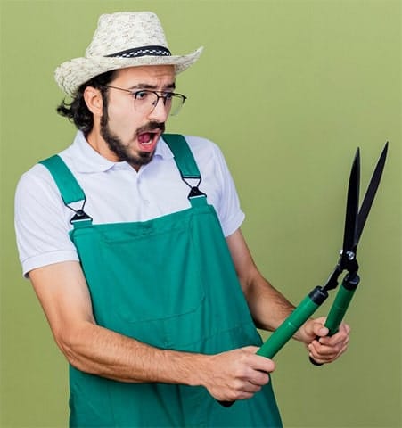 MNL Nettoyage : jardin d'entreprises
