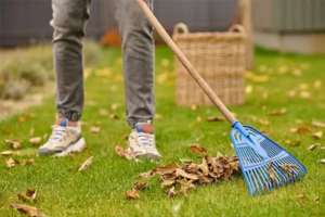 MNL Nettoyage : nettoyage jardin