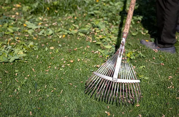 Ramassage feuilles jardinier Toulon